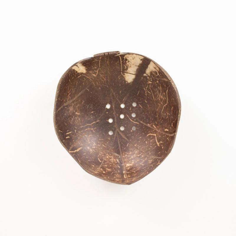 Leaf Coconut Shell Dish