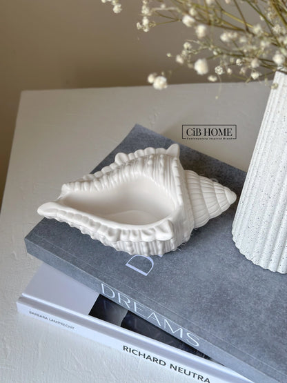 Conch Shell Trinket Tray