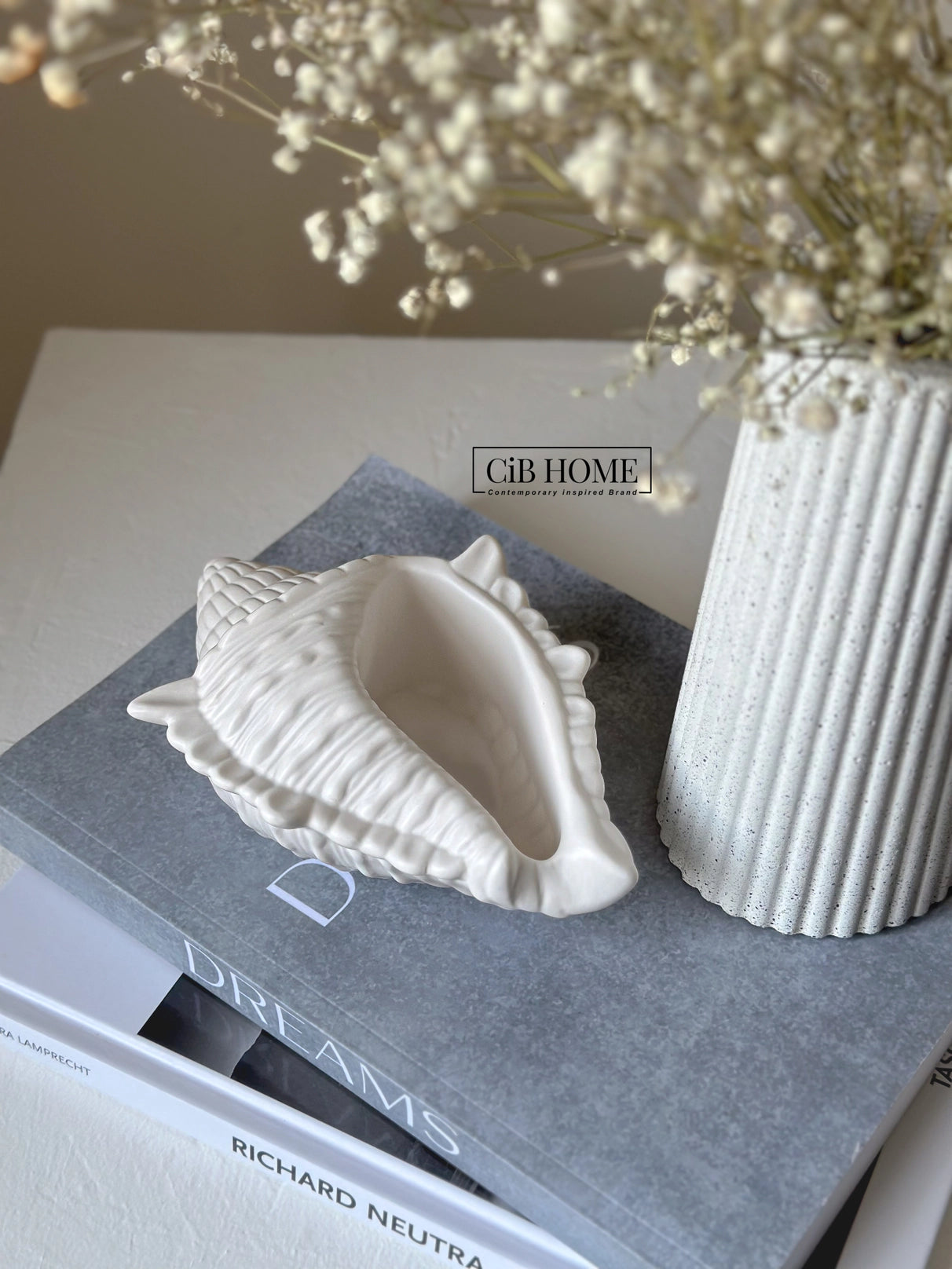 Conch Shell Trinket Tray