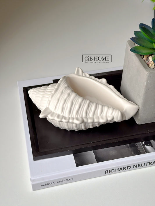 Conch Shell Trinket Tray