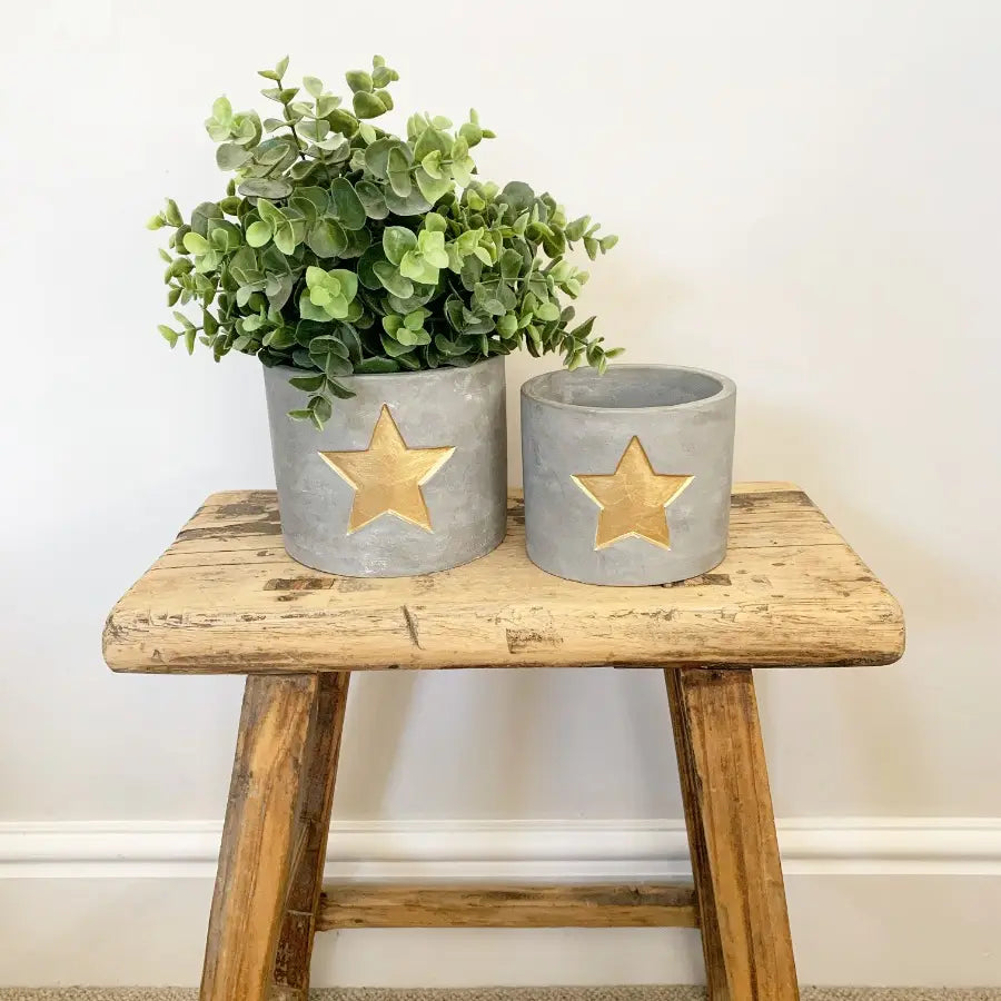 Gold Star Cement Planter