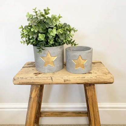 Gold Star Cement Planter