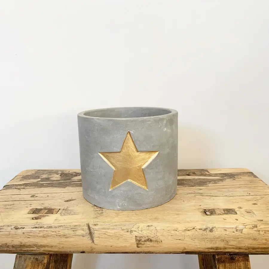 Gold Star Cement Planter