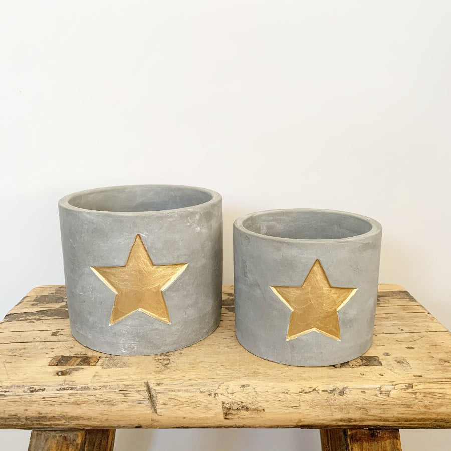 Gold Star Cement Planter