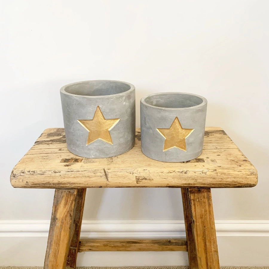 Gold Star Cement Planter