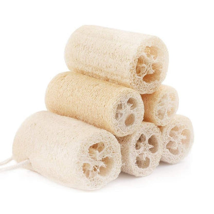 Natural Loofah Sponge
